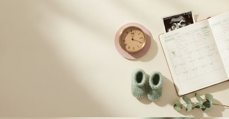 Ab wann ist das Geschlecht erkennbar? Woche für Woche