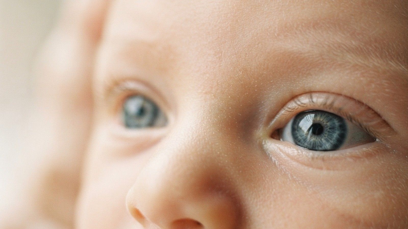 Nahaufnahme der blaugrauen Augen eines Neugeborenen, bevor sich die Farbe festlegt