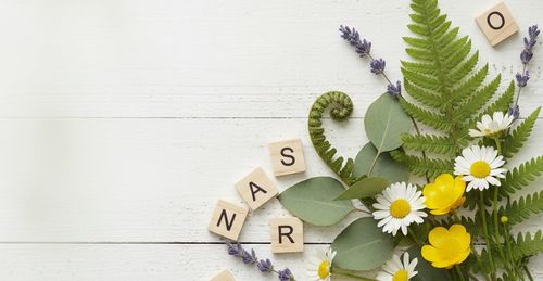 Nature Baby Names: Trees, Flowers, Water and Sky