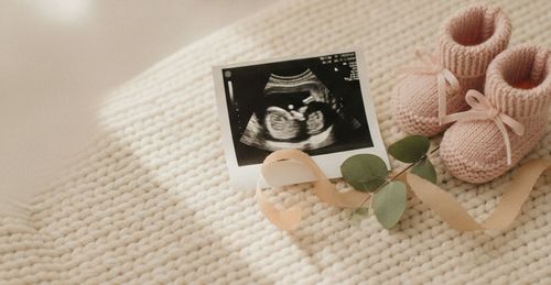 Nub Theory: Guessing Baby Sex From an Early Ultrasound