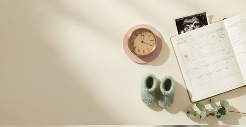 Ab wann ist das Geschlecht erkennbar? Woche für Woche